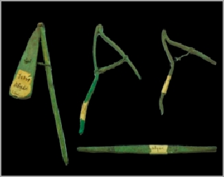 68.jpg